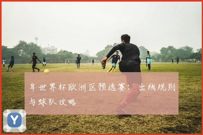年世界杯欧洲区预选赛：出线规则与球队攻略